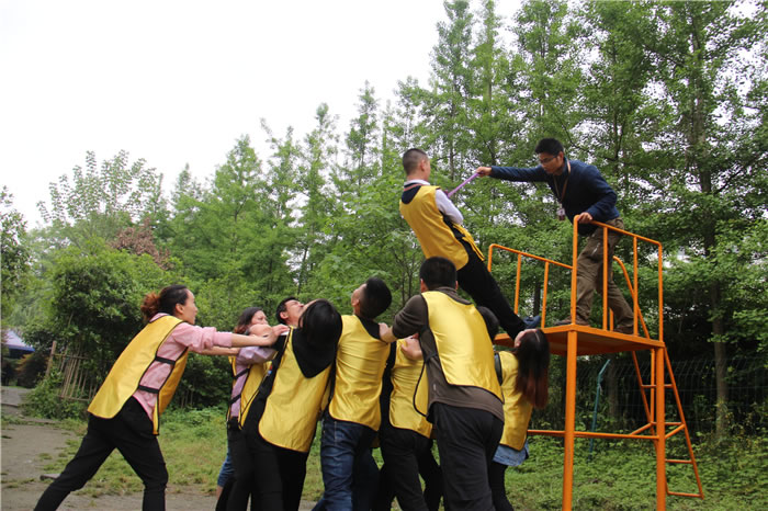 信任背摔图片2 (2).JPG